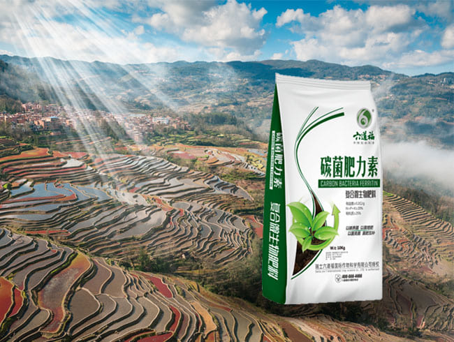 碳菌肥力素