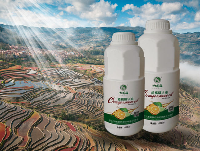 橙橘精華油